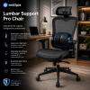 Lumbar Support Pro Chair