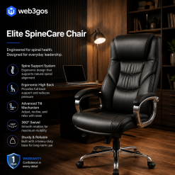 Elite SpineCare Chair