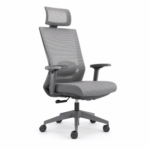 ergonomic desk chair