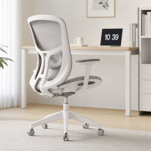 ergonomic chair for back pain